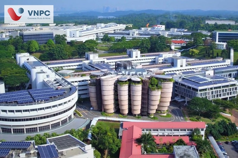 Nanyang Institute of Management: Điều kiện, chi phí MỚI NHẤT